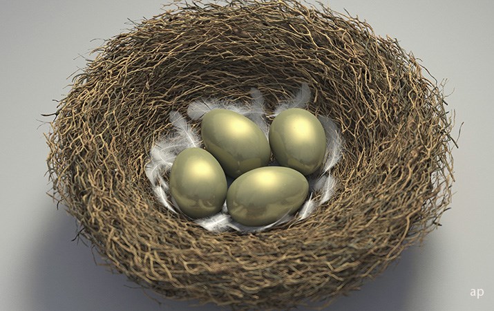 Nest egg wide article